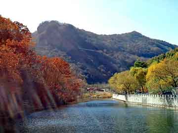 澳门二四六天天彩图库，甘草种子